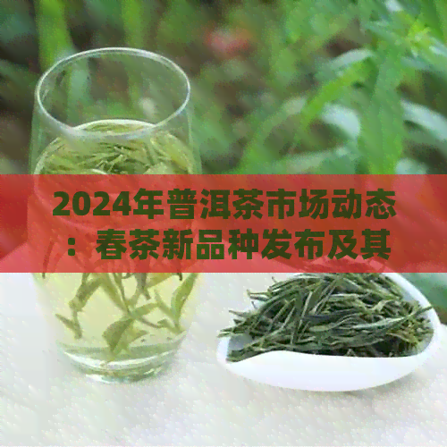 2024年普洱茶市场动态：春茶新品种发布及其价格趋势分析