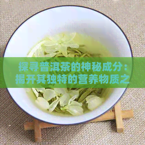 探寻普洱茶的神秘成分：揭开其独特的营养物质之谜