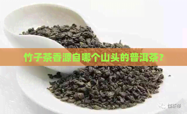 竹子茶香源自哪个山头的普洱茶？