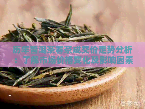 历年普洱茶春茶成交价走势分析：了解市场价格变化及影响因素