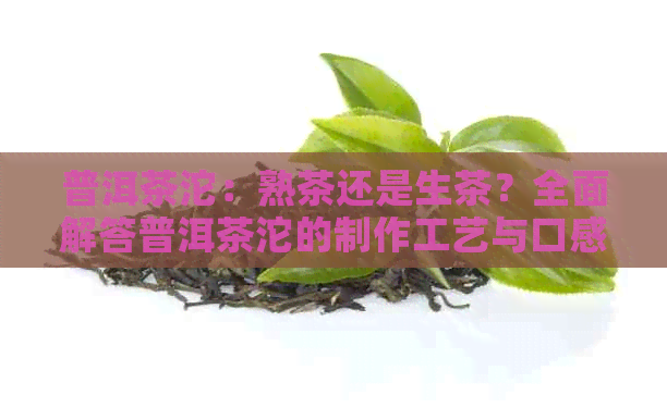 普洱茶沱：熟茶还是生茶？全面解答普洱茶沱的制作工艺与口感特点