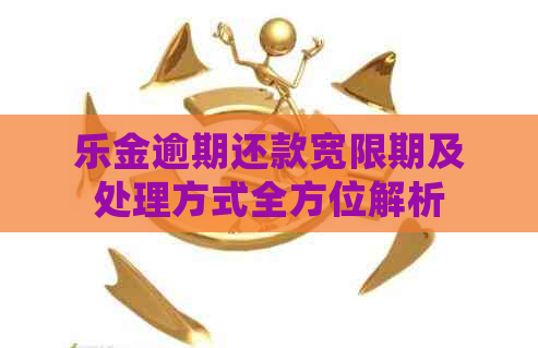 乐金逾期还款宽限期及处理方式全方位解析