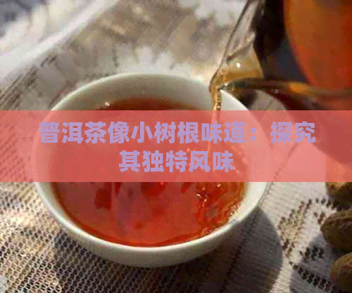 普洱茶像小树根味道：探究其独特风味