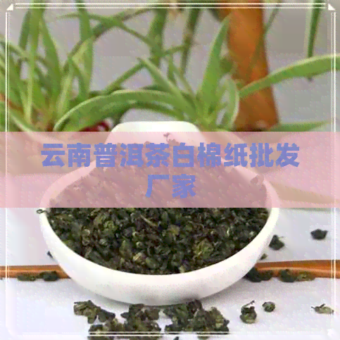 云南普洱茶白棉纸批发厂家