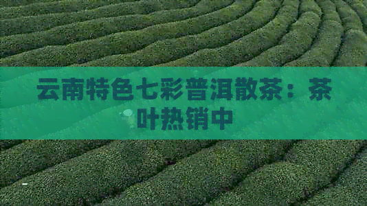 云南特色七彩普洱散茶：茶叶热销中