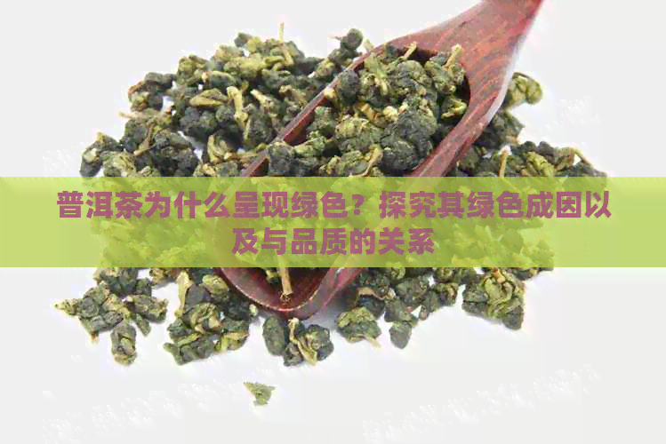 普洱茶为什么呈现绿色？探究其绿色成因以及与品质的关系