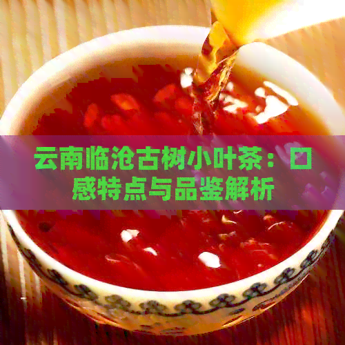 云南临沧古树小叶茶：口感特点与品鉴解析