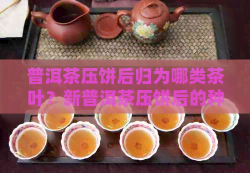 普洱茶压饼后归为哪类茶叶？新普洱茶压饼后的种类及其特点解析