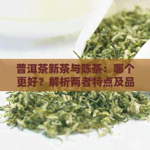 普洱茶新茶与陈茶：哪个更好？解析两者特点及品尝技巧