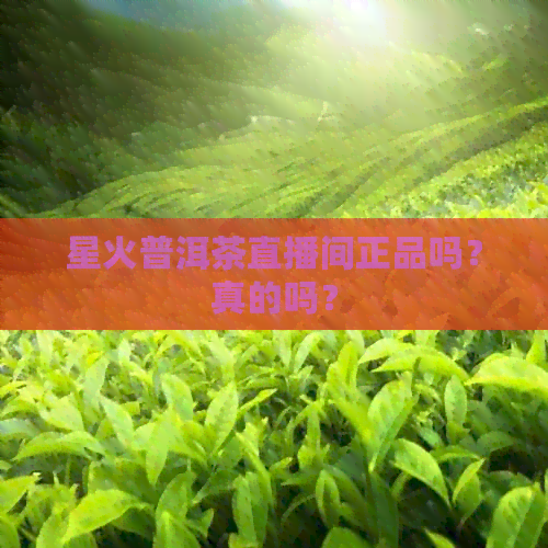 星火普洱茶直播间正品吗？真的吗？