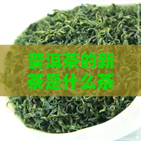 普洱茶的新茶是什么茶类