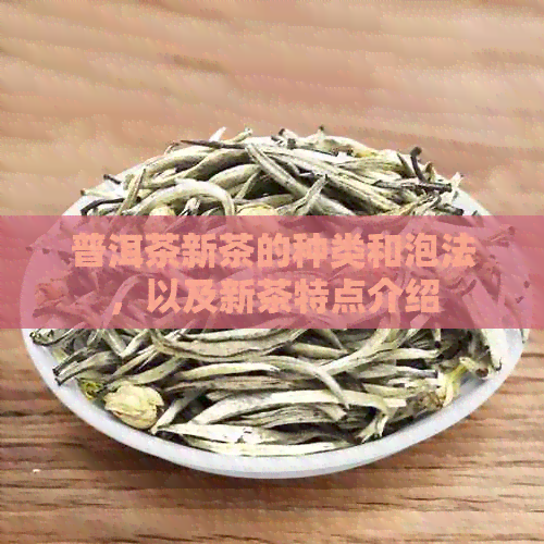 普洱茶新茶的种类和泡法，以及新茶特点介绍