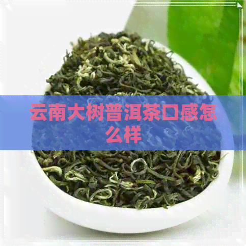 云南大树普洱茶口感怎么样