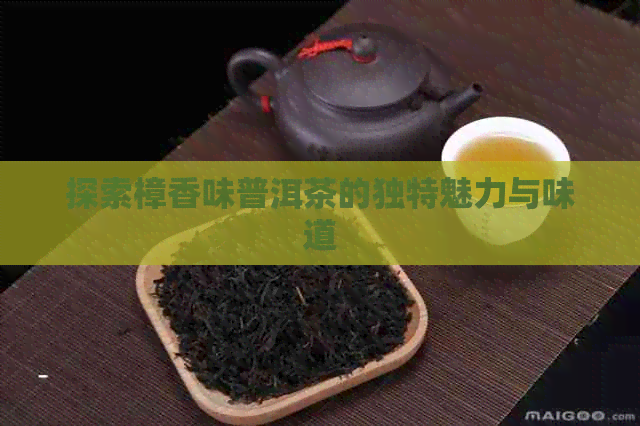 探索樟香味普洱茶的独特魅力与味道