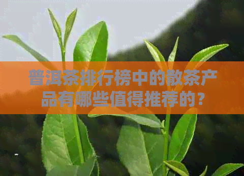 普洱茶排行榜中的散茶产品有哪些值得推荐的？