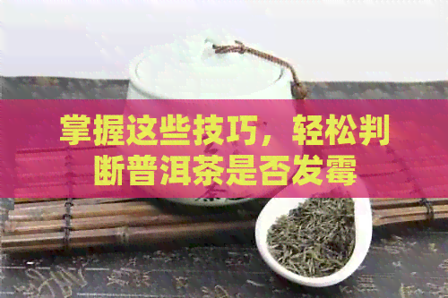 掌握这些技巧，轻松判断普洱茶是否发霉