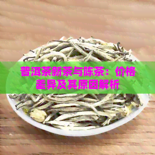 普洱茶新茶与陈茶：价格差异及其原因解析