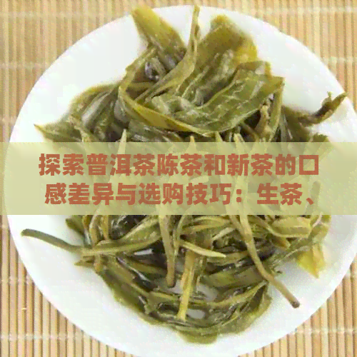 探索普洱茶陈茶和新茶的口感差异与选购技巧：生茶、熟茶与年份的影响