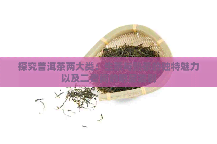 探究普洱茶两大类：生茶与熟茶的独特魅力以及二者间的明显差别