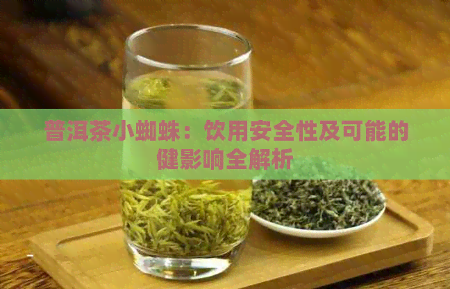 普洱茶小蜘蛛：饮用安全性及可能的健影响全解析