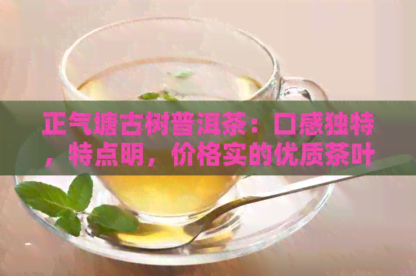 正气塘古树普洱茶：口感独特，特点明，价格实的优质茶叶选择