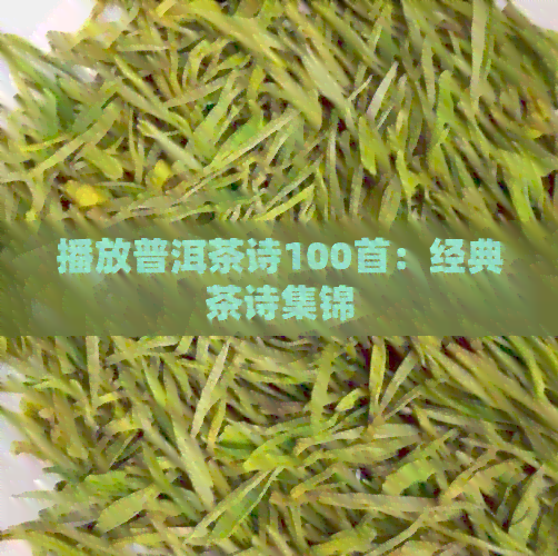 播放普洱茶诗100首：经典茶诗集锦