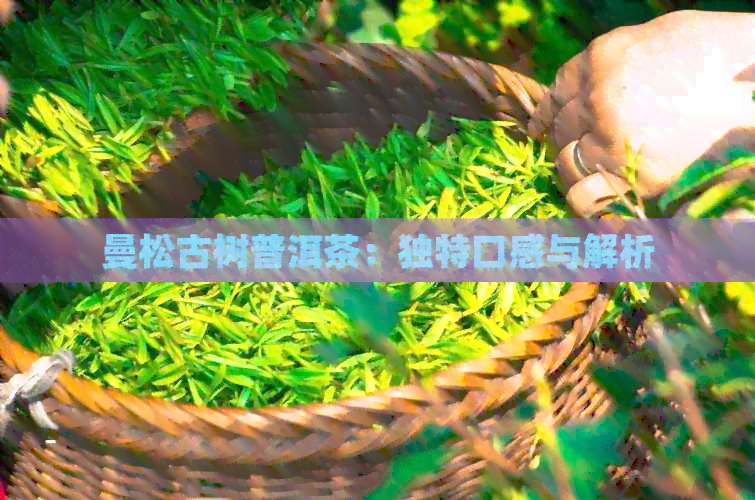 曼松古树普洱茶：独特口感与解析