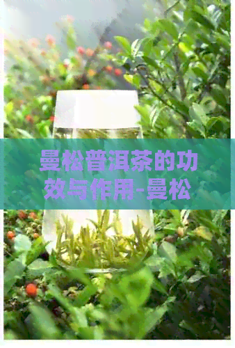 曼松普洱茶的功效与作用-曼松普洱茶的功效与作用及禁忌