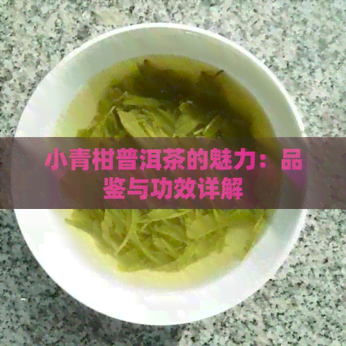 小青柑普洱茶的魅力：品鉴与功效详解