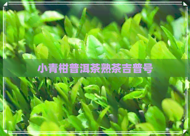 小青柑普洱茶熟茶吉普号