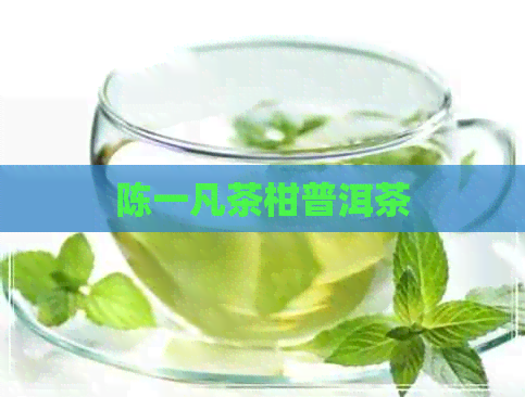 陈一凡茶柑普洱茶