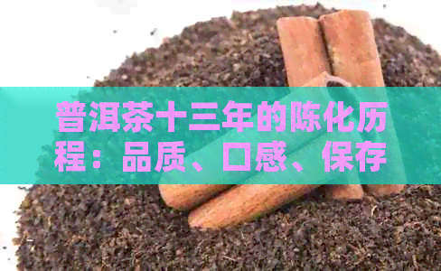 普洱茶十三年的陈化历程：品质、口感、保存与鉴全方位解析