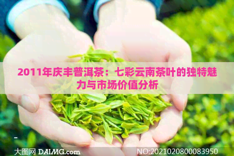 2011年庆丰普洱茶：七彩云南茶叶的独特魅力与市场价值分析