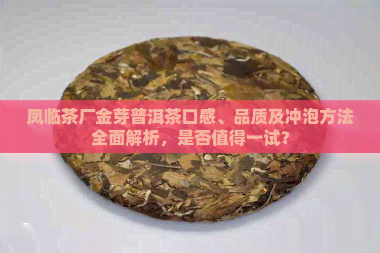 凤临茶厂金芽普洱茶口感、品质及冲泡方法全面解析，是否值得一试？