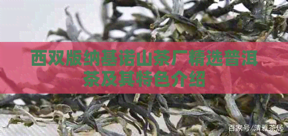 西双版纳基诺山茶厂精选普洱茶及其特色介绍