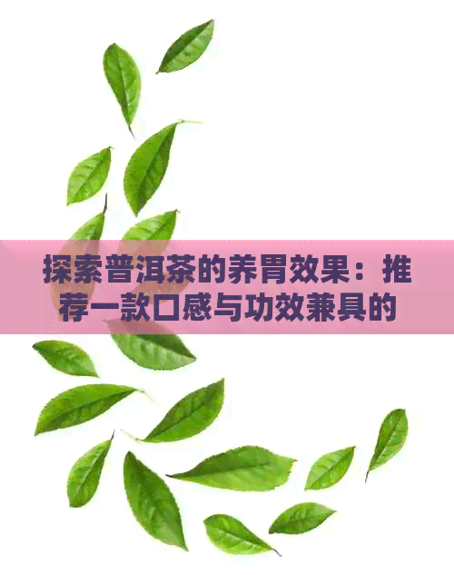 探索普洱茶的养胃效果：推荐一款口感与功效兼具的选择