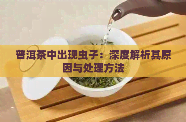 普洱茶中出现虫子：深度解析其原因与处理方法