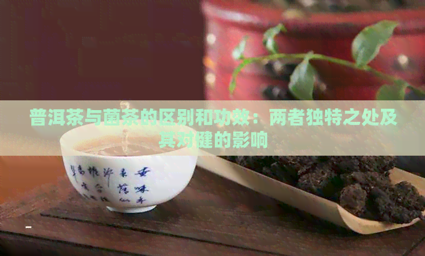 普洱茶与菌茶的区别和功效：两者独特之处及其对健的影响