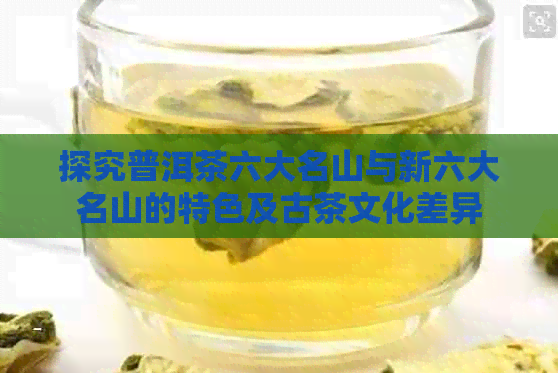 探究普洱茶六大名山与新六大名山的特色及古茶文化差异