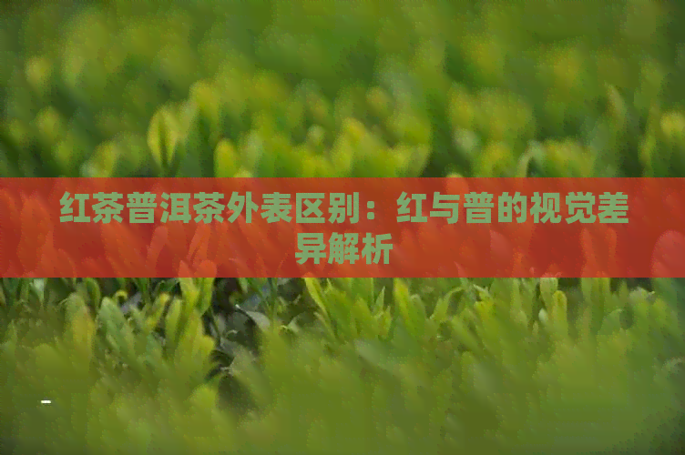 红茶普洱茶外表区别：红与普的视觉差异解析