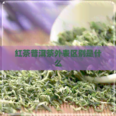 红茶普洱茶外表区别是什么