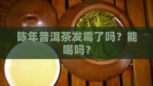 陈年普洱茶发霉了吗？能喝吗？