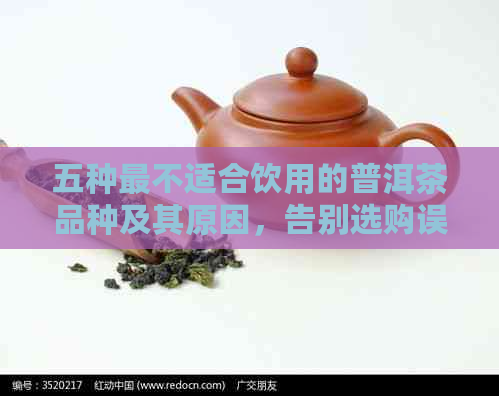 五种最不适合饮用的普洱茶品种及其原因，告别选购误区！