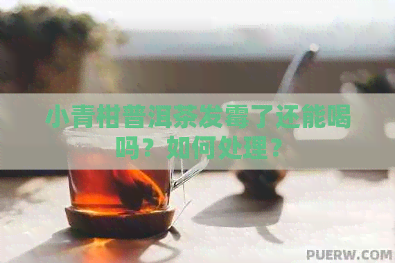 小青柑普洱茶发霉了还能喝吗？如何处理？