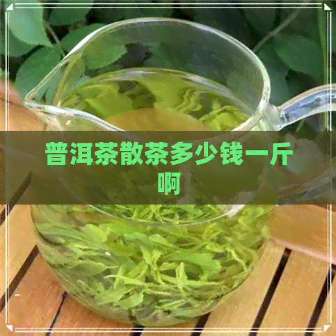 普洱茶散茶多少钱一斤啊