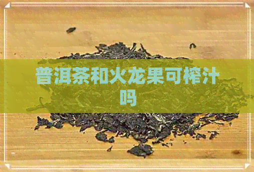 普洱茶和火龙果可榨汁吗