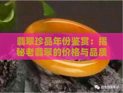 翡翠珍品年份鉴赏：揭秘老翡翠的价格与品质之谜