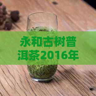 永和古树普洱茶2016年价格表与品鉴：真正的好茶在哪里？