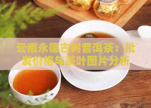 云南永德古树普洱茶：批发价格与茶叶图片分析