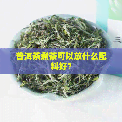 普洱茶煮茶可以放什么配料好？